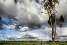 开云体育_天津飞船击败内蒙古猎手队，取得胜利