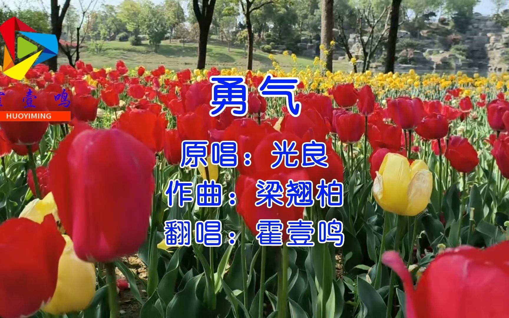 勇敢拼搏:冠军震撼故事传奇的简单介绍 勇敢拼搏:冠军震撼故事传奇的简单介绍