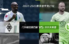 沃尔夫斯堡上轮失分后再次遭遇挫折的简单介绍 沃尔夫斯堡上轮失分后再次遭遇挫折的简单介绍