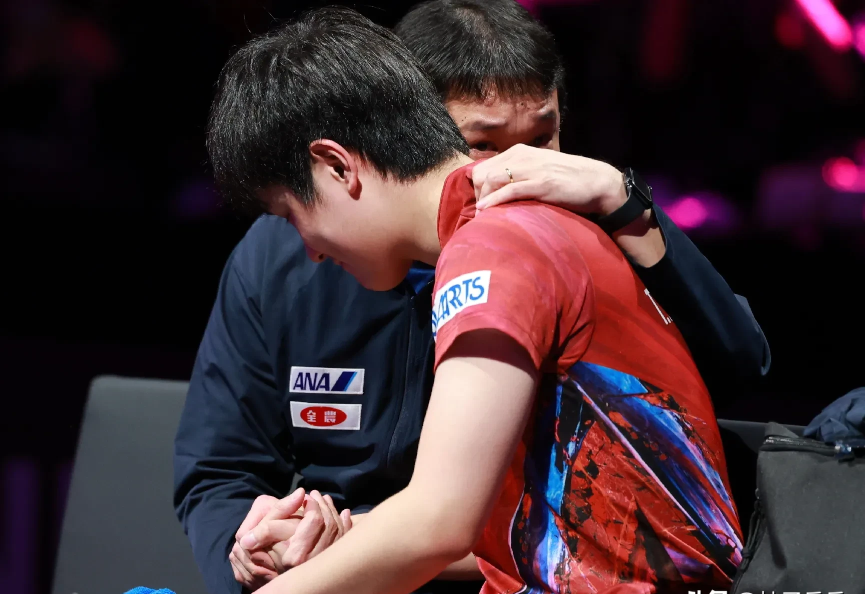 关于韩国队完胜法国队,张本智和扛起全队的信息 关于韩国队完胜法国队,张本智和扛起全队的信息